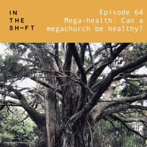 Mega-health: Can a megachurch be healthy?