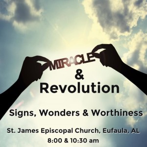 Miracle &amp; Revolution-Signs, Wonders and Worthiness