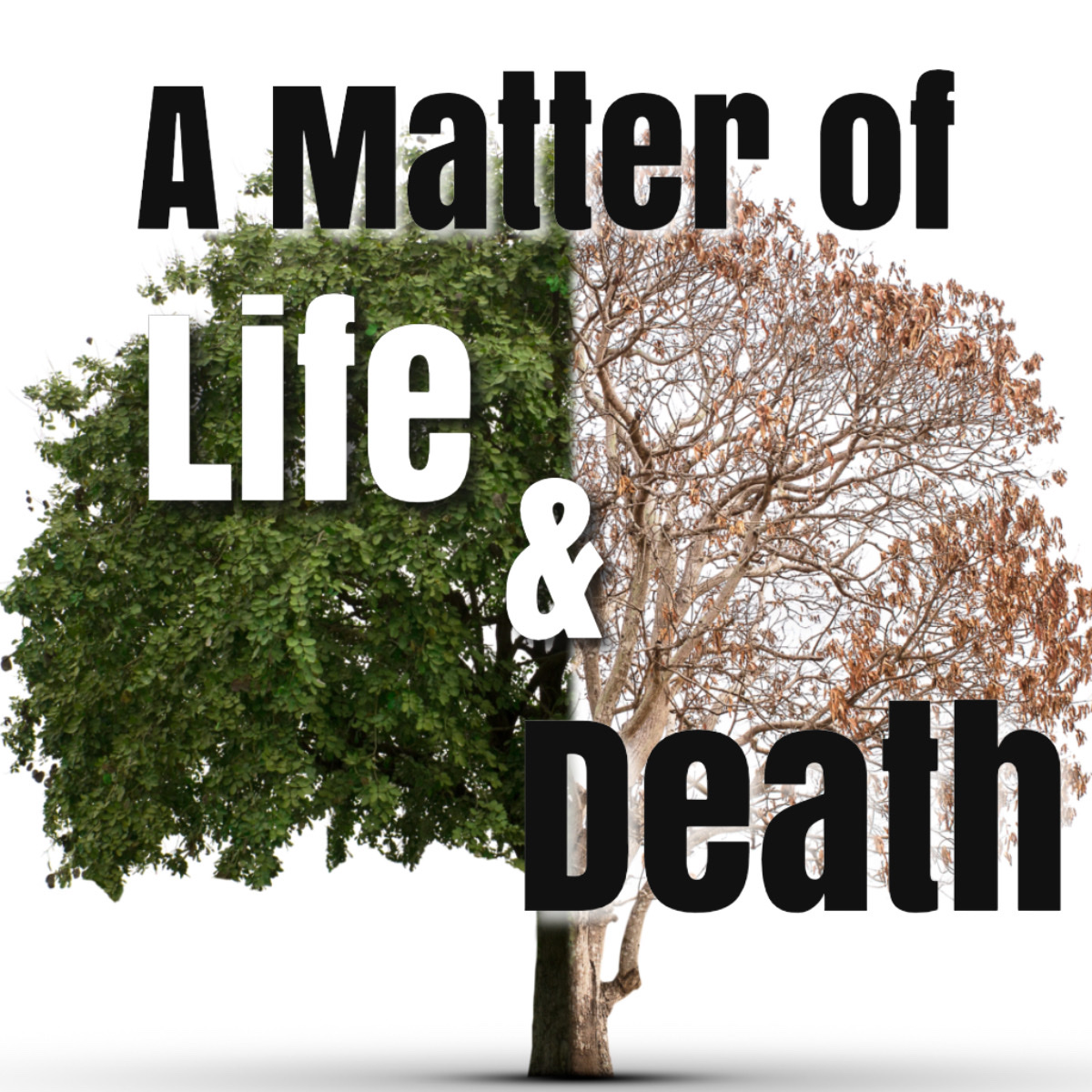 A Matter of Life and Death