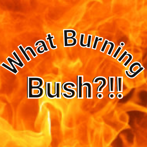 What Burning Bush?!!