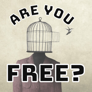 Are you Free?