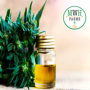 CBD oil for sale in Minnesota