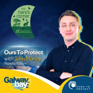 Ours to Protect (Episode 45)