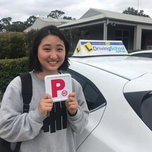 What’s in Driving School’s Old Driver Assessment?