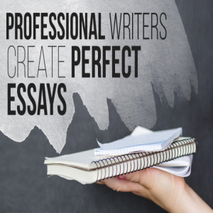 A Few Qualities of Professional Essay Writers You Should Look for