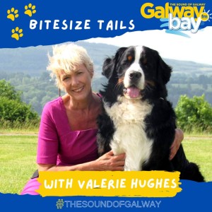 Bitesize Tails with Valerie Hughes - EP2