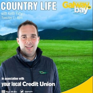 Country Life with Keith Fahy (Tuesday 24th November 2022)