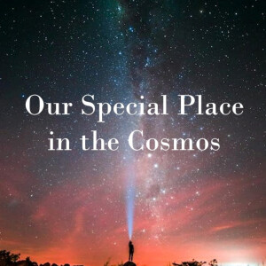 Our Special Place in the Cosmos