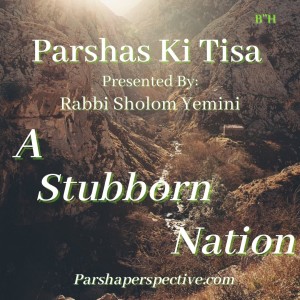 Parshas Ki Tisa, a stubborn nation.
