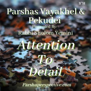 Parshas Vayakhel & Pekudei, attention to detail
