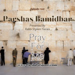 Parshas Bamidbar, pray for me