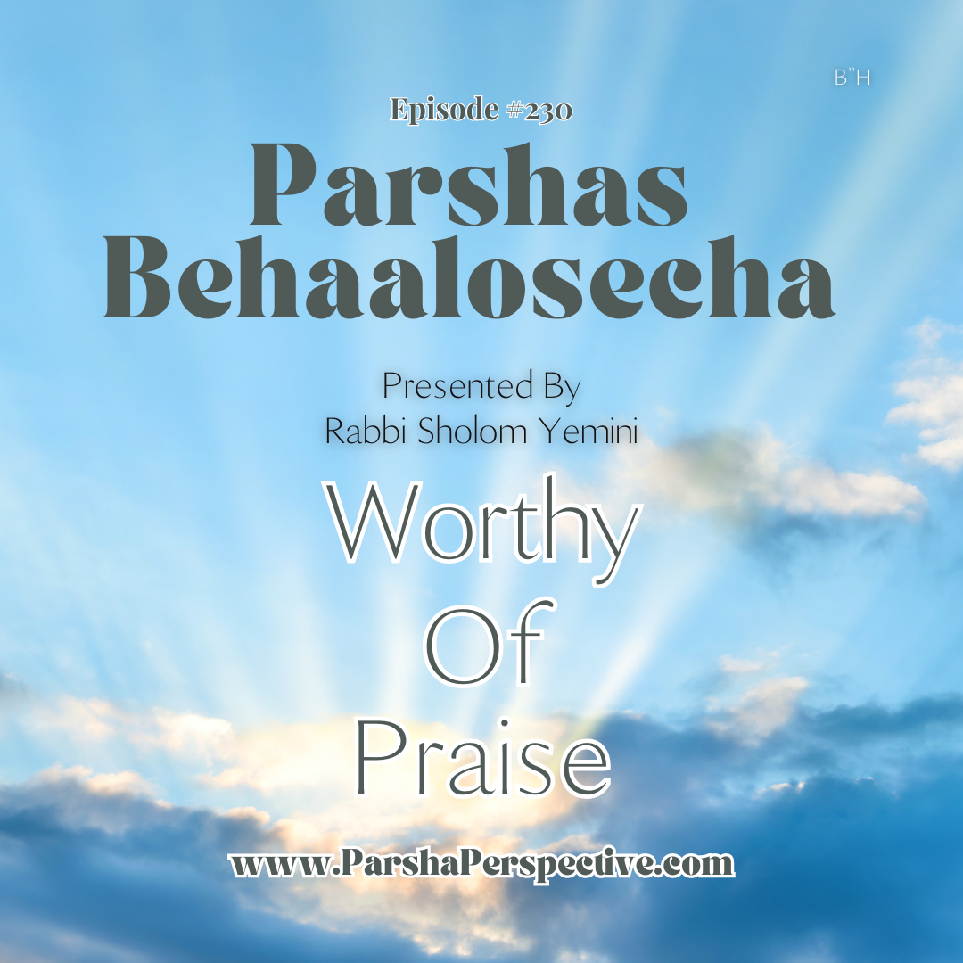 The Parsha Perspective