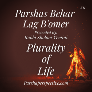 Parshas Behar & Lag B’Omer, the plurality of life