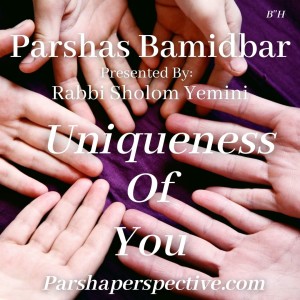 Parshas Bamidbar, uniqueness of you!