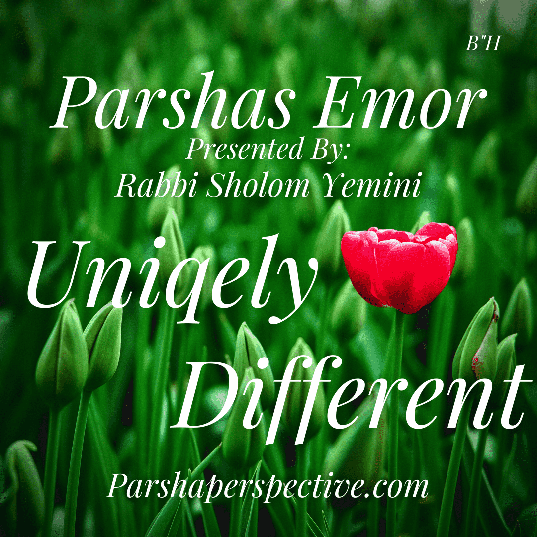 Parshas Emor, Uniquely Different