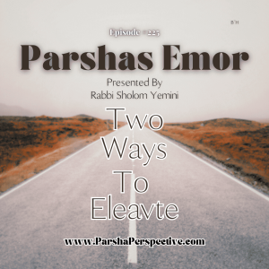 Parshas Emor, two ways to elevate