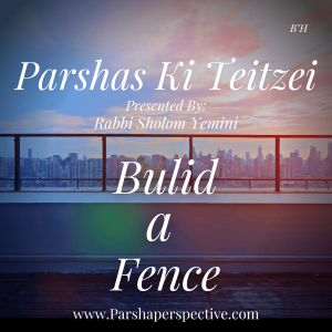 Parshas Ki Teitzei, building fences