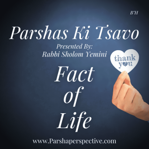 Parshas Ki Tsavo, fact of life