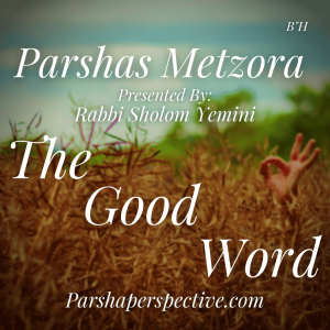 Parsha Metzora, the good word