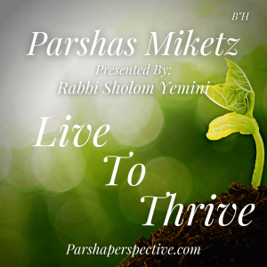 Parshas Miketz & Chanukah live to thrive!