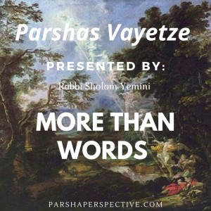 Parshas Vayeitzei, more than words.