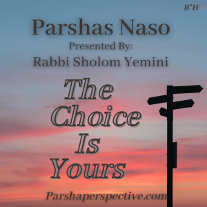 Parshas Naso, the choice is yours.