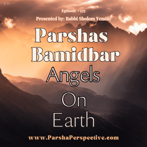 Parsha Bamidbar & Shavous, Angels on Earth