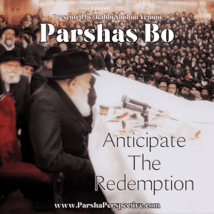 Parshas Bo, anticipate the redemption