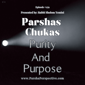 Parshas Chukas, Purity and Purpose