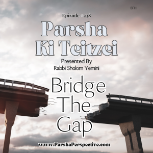 Parshas Ki Teitzei, bridge the gap