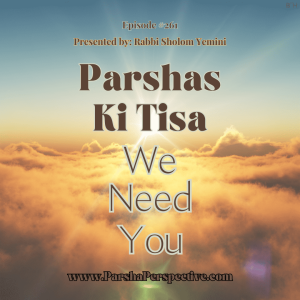 Parshas Ki Tisa, we need You