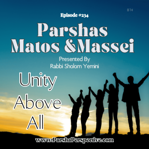 Parshas Matos & Massei, unity above all