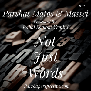 Parshas Matos and Massei, not just words.