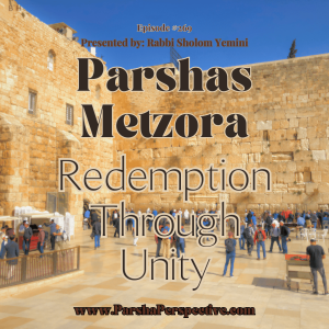 Parsha Metzora, Redemption Through Unity