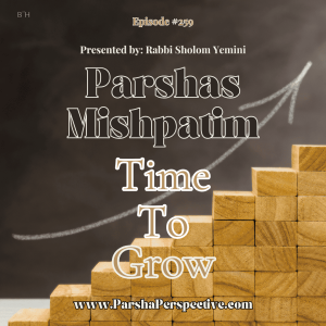 Parshas Mishpatim, time to grow