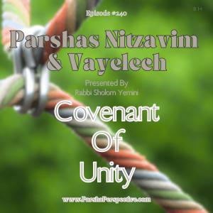 Parshas Nitzavim & Vayelech, covenant of unity