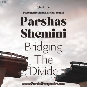 Parshas Shemini, Bridging the Divide