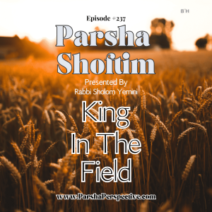 Parshas Shoftim, King in the field