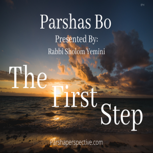 Parsha Bo, the first step.