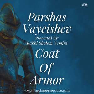 Parshas Vayeishev, coat of armor
