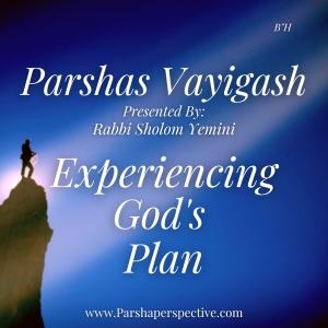 Parshas Vayigash, experiencing G-d’s plan