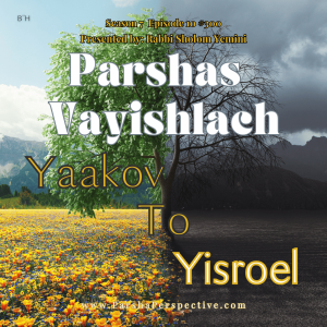 Parshas Vayishlach: Ya'akov to Yisroel