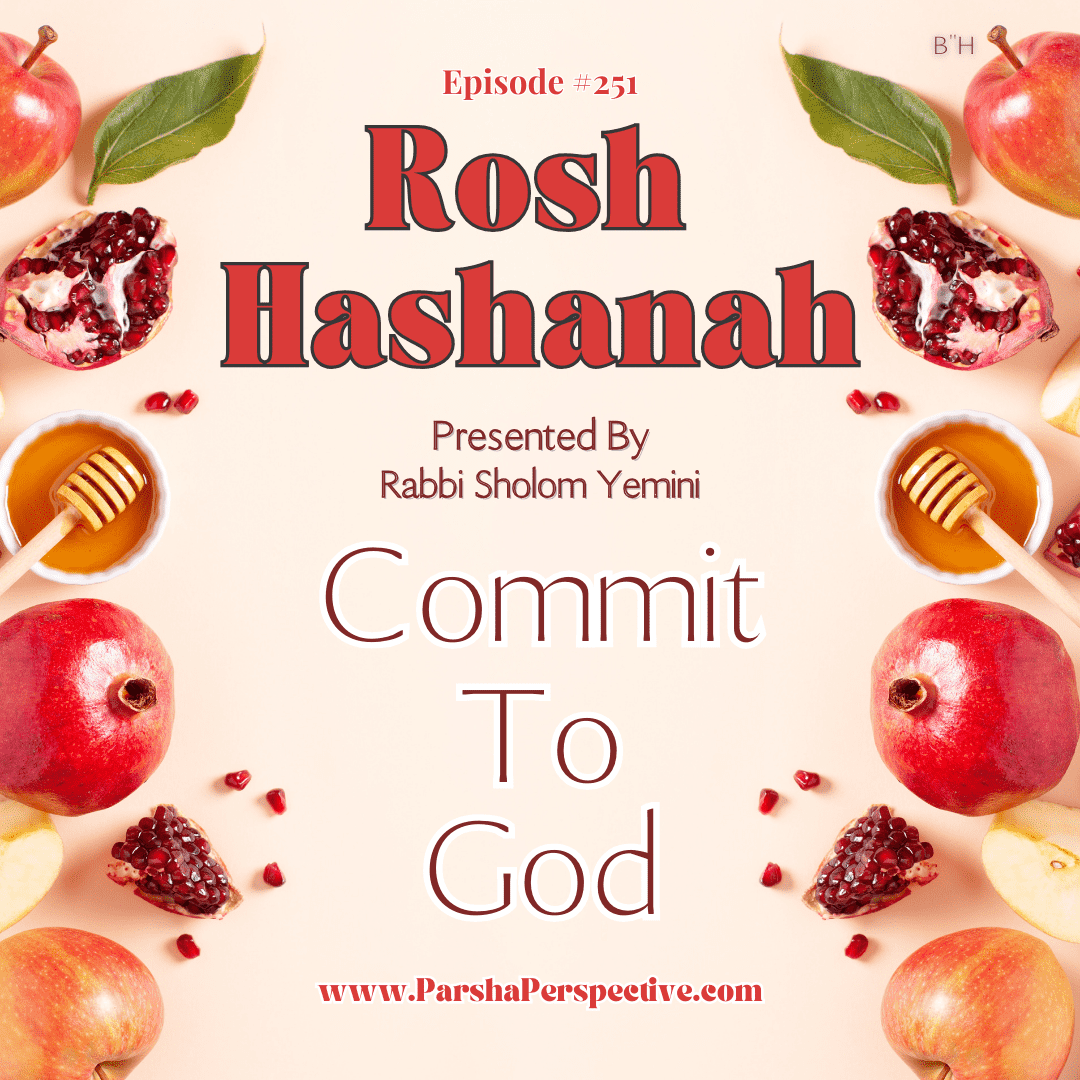 The Parsha Perspective