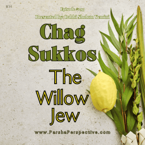 The Sukkos Perspective: The Willow Jew