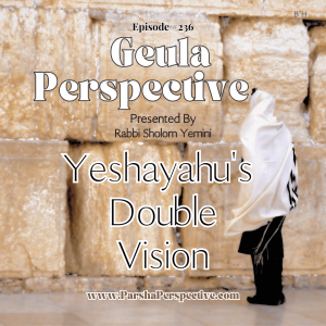 Tisha B’Av, Yeshayahu’s double vision
