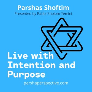 Parsha Shoftim, living with intention.