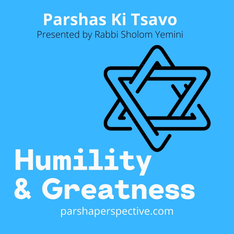 The Parsha Perspective