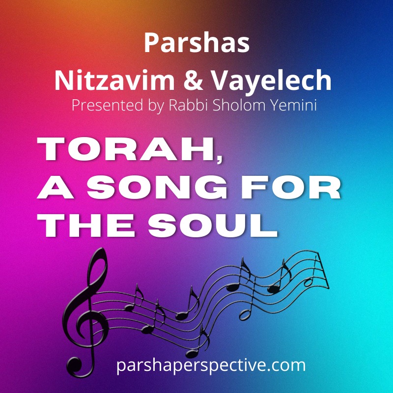 The Parsha Perspective