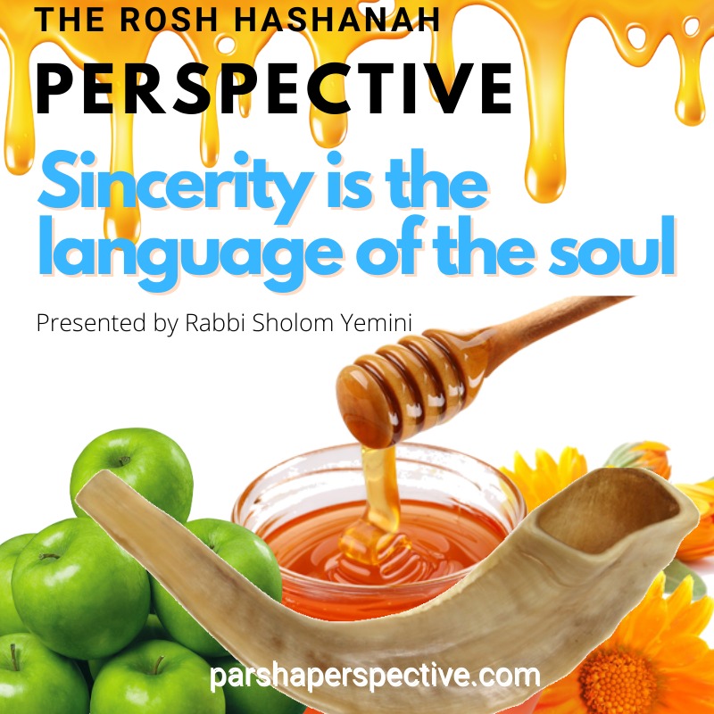 The Parsha Perspective