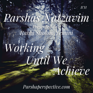 Parshas Nitzavim, working until we achieve.